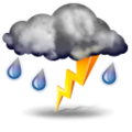 Prognos: Mostly cloudy and cooler. Precipitation possible within 12 hours, possibly heavy at times. Windy.